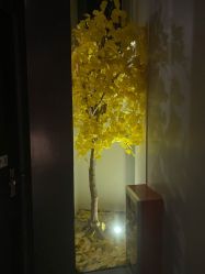 -美壹生皮肤管理中心
