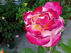 -白塘生态植物园