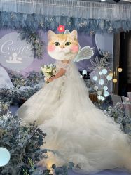 -艾米婚纱&婚礼策划