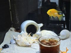 -萤火虫咖啡(砖著店)