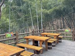 -天目湖山水园