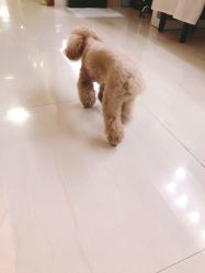 -肌理言健康美肌驻颜所