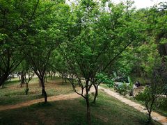 -广州市白云山风景名胜区