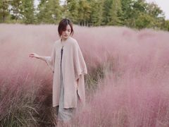 -南湖湿地公园