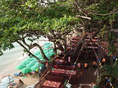 -卷心菜和避孕套餐厅(Pattaya)