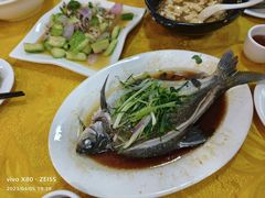 -鸿达渔港