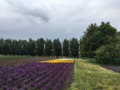 -富田农场