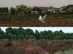 -嘉北郊野公园