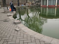 -丰台花园