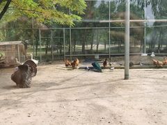 -第五季龙水凤港生态露营农场