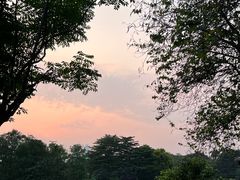 -海珠湖公园