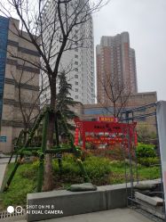 -河南中医药大学第一附属医院-医疗整形