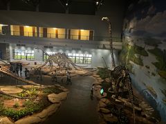 -自贡恐龙博物馆