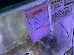 -上海大自然野生昆虫馆(东方明珠·爬宠昆虫探索中心)
