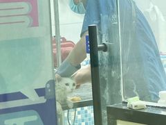 -天宠宠物医院24小时·急重症诊疗中心·全科·腔镜特色(和平分院)