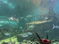 -嘉兴海底世界