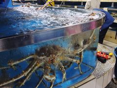 水产区-京深海鲜市场(光彩路店)