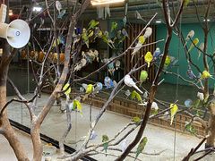 -上海大自然野生昆虫馆(东方明珠·爬宠昆虫探索中心)