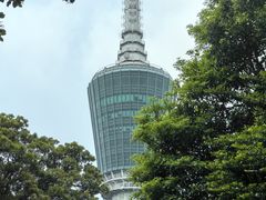 -梧桐山风景名胜区