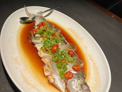 -润苑·悦椿轩(徐汇万科中心一期店)