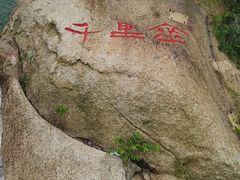 -三亚亚龙湾人间天堂鸟巢度假村