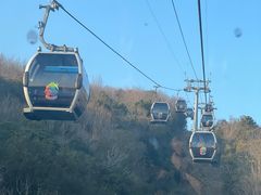 -普陀山风景区-佛顶山