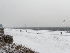 -秦始皇帝陵博物院-丽山园