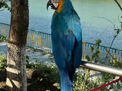 -水上乐园·欢乐世界