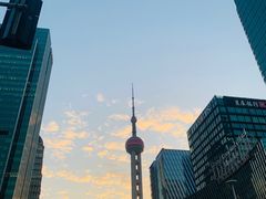 -陆家嘴中心绿地