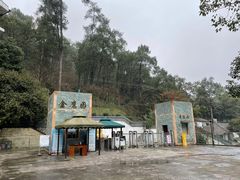-大金鹰园