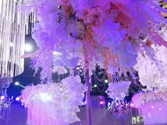 -欧亚汇集(飞跃路店)