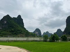 -明仕田园