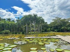 -中国科学院西双版纳热带植物园