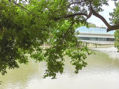 -成都市活水公园