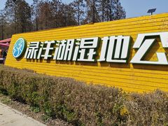 -渌洋湖湿地公园