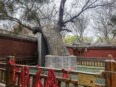 -天宁寺