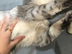 -小时光咖啡馆(开森度假森林店)
