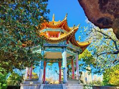 -昆明动物园