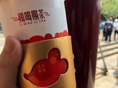 -鸡鸣赐茶(鸡鸣寺路店)