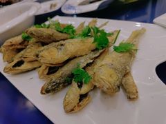-望海潮海鲜店 特色家常菜(在海一方店)