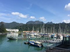 -ZF Seafood Restaurant 卓峰海鲜餐