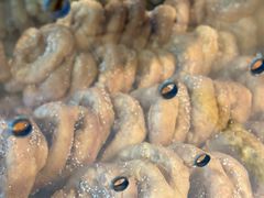 德昌咸煎饼-伍湛记 · 广州老字号(龙津中路店)