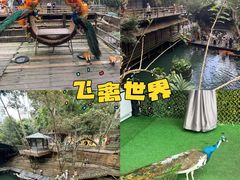 -海南槟榔谷黎苗文化旅游区