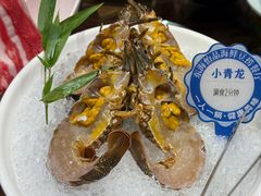 -东海怡品海鲜豆捞(舟宿夜江店)