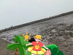 -南汇嘴观海公园
