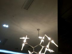 -HALO COFFEE(华贸店)