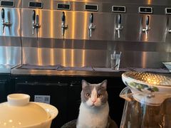 -后院儿·精酿·塔罗Happy Bar