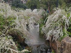 -中国茶叶博物馆(双峰馆区)