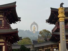-庐山风景名胜区-东林大佛