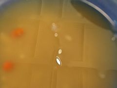 -大王油茶(二厂文创公园店)
